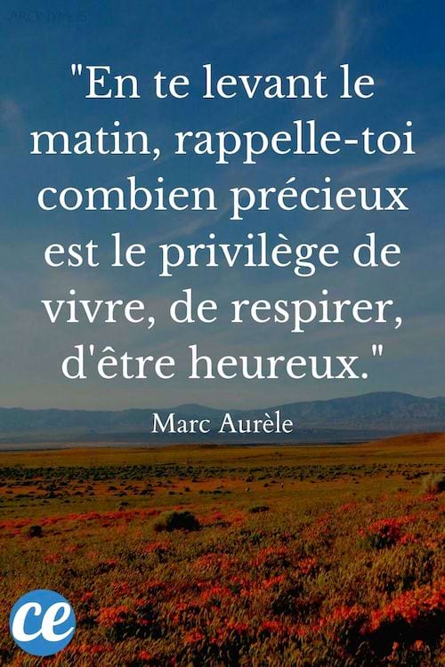 En te levant le matin, rappelle-toi combien précieux est le privilège de vivre, de respirer