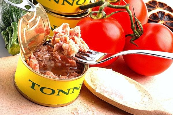 Une fourchette qui prend du thon dans une boîte de conserve ouverte avec des tomates à côté