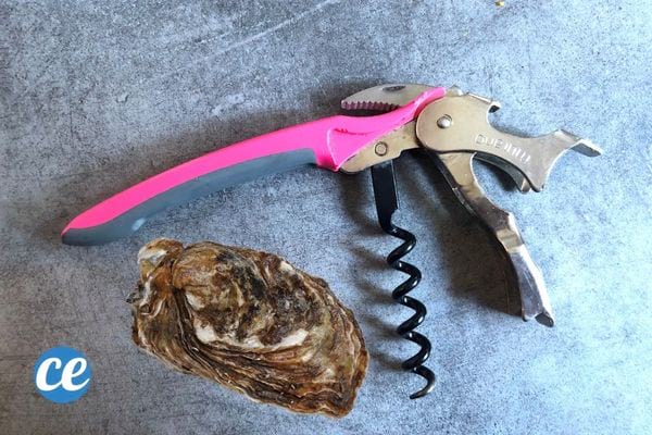 Une huître à proximité d'un limonadier rose