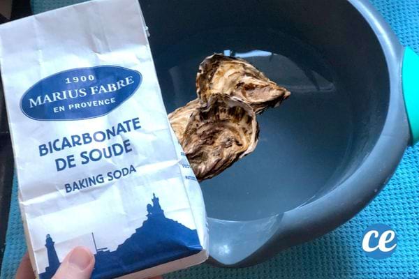 Un paquet de bicarbonate de soude avec des huîtres à l'intérieur d'une bassine grise