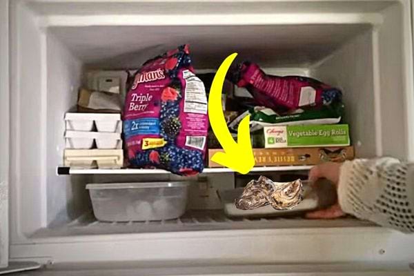 Plusieurs produits alimentaires dans un congélateur