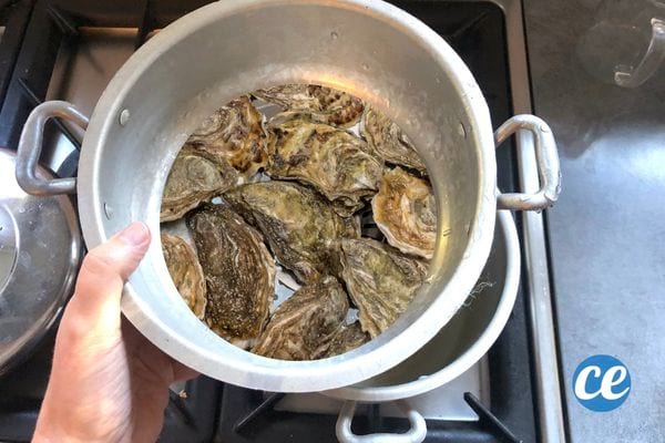 Plusieurs huîtres dans une casserole grise au dessus d'un évier tenu par la main d'une personne