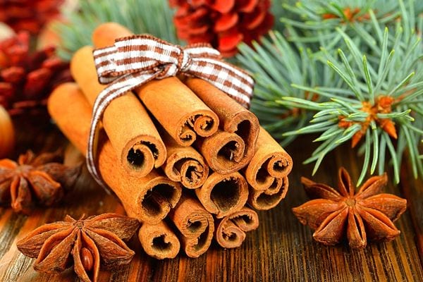 Des morceaux de cannelle entourées avec du ruban et des épines de sapin tout autour