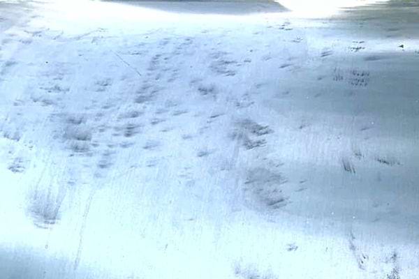 Plusieurs tâches noires sur de l'aluminium