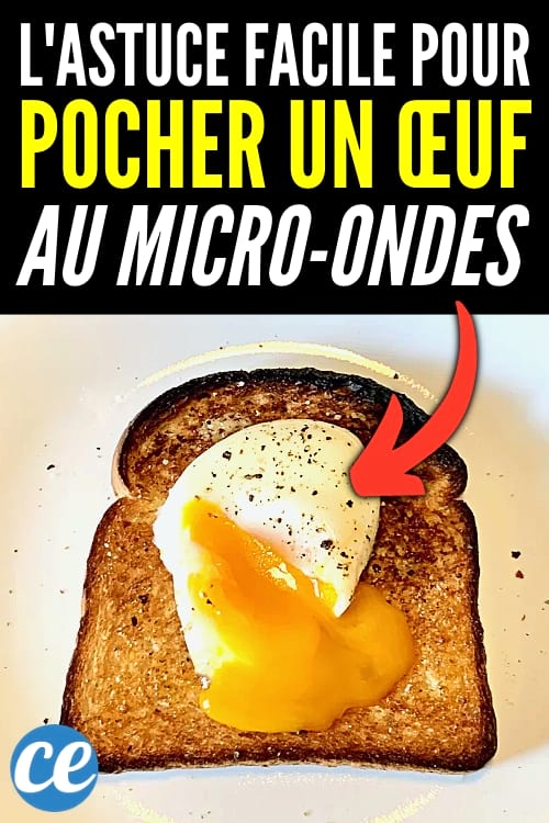 L'astuce facile pour faire pocher un œuf au micro-ondes.