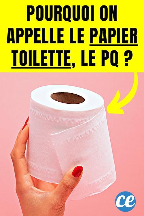 Pourquoi nous appelons le papier toilette du PQ ?