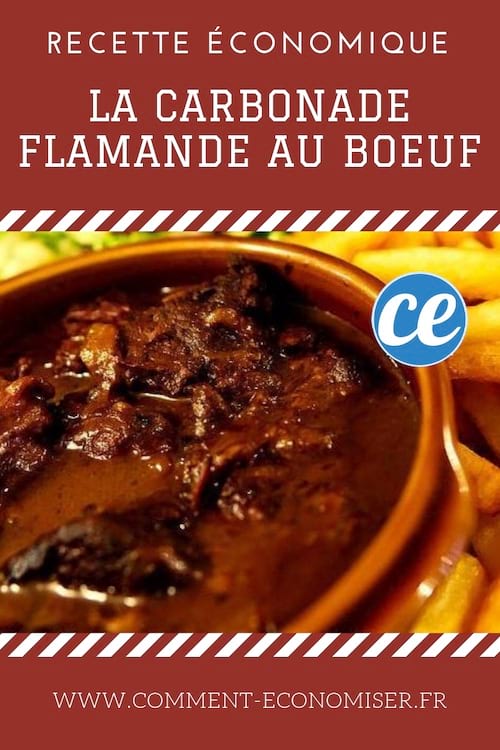 une carbonade flamande de boeuf dans un plat