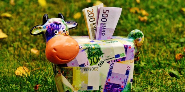 Des billets qui sont introduits dans une tirelire en vache décorée avec des billets 