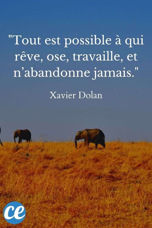 Tout est possible à qui rêve, ose, travaille, et n’abandonne jamais