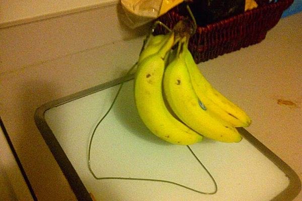 Des bananes qui sont accrochées à un cintre 