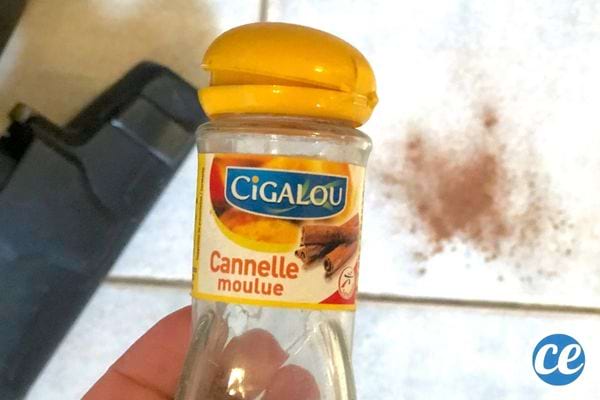 Une personne tenant de la cannelle moulue au dessus d'un aspirateur noir