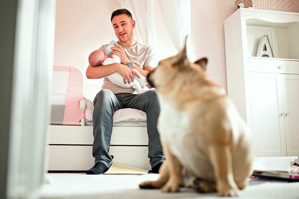 Un chien regardant son maître donnant le biberon à son bébé