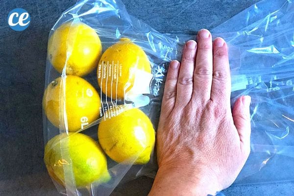Cinq citrons dans un sachet tenu par une personne