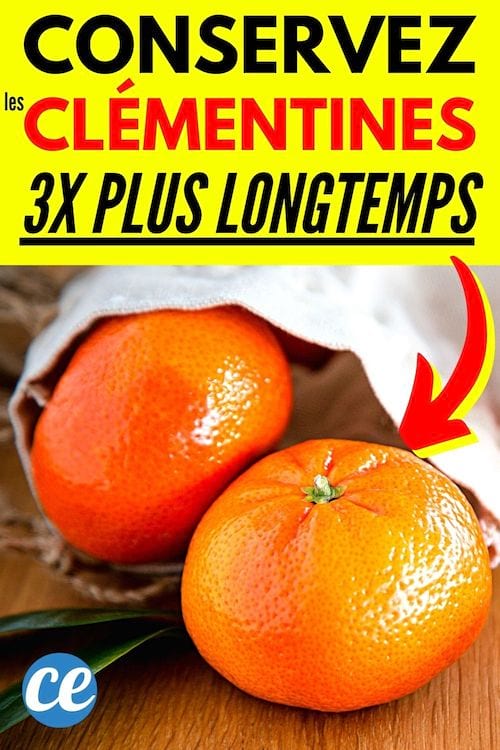 Comment conserver ses cl&eacute;mentines 