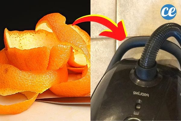 Des écorces d'orange avec un aspirateur noir 