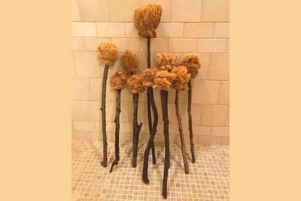 Plusieurs éponges sur des bouts de bâtons