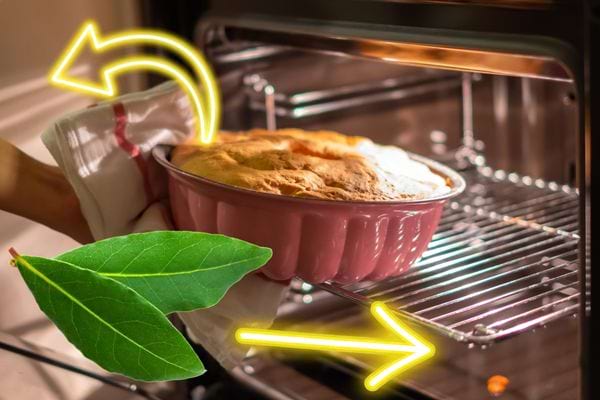 Une personne sortant un plat du four avec des feuilles de laurier