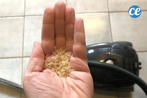 Un personne ayant des grains de riz dans le creux de sa main 