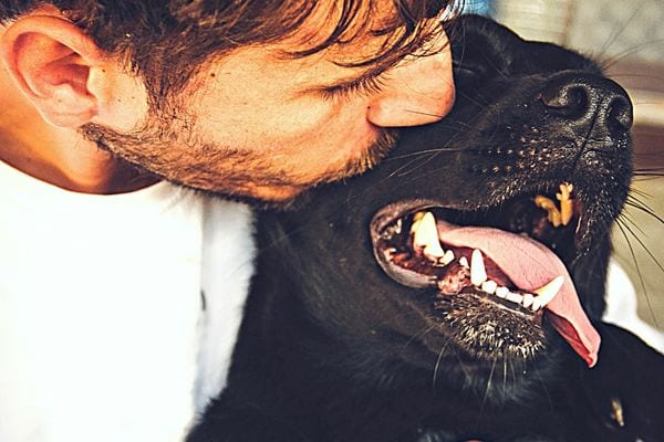Un homme faisant un bisous sur la joue de son chien noir