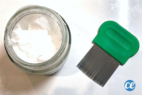 De l'huile de coco avec une brosse anti-poux à proximité