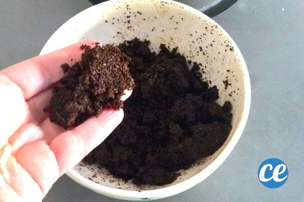 Du marc café dans un gros seau blanc avec une personne qui tient dans sa main