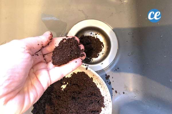 Eine Person wirft Kaffeesatz in ein Waschbecken