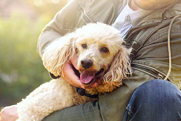 Un homme câlinant son chien
