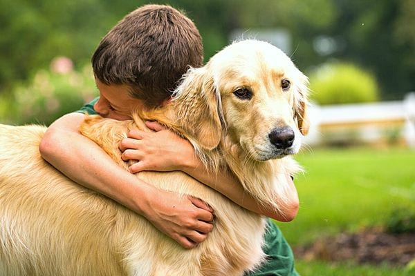 Un petit garçon faisant un câlin à son labrador