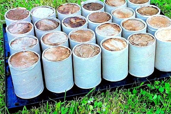 Plusieurs bûche l'une à côté de l'autre