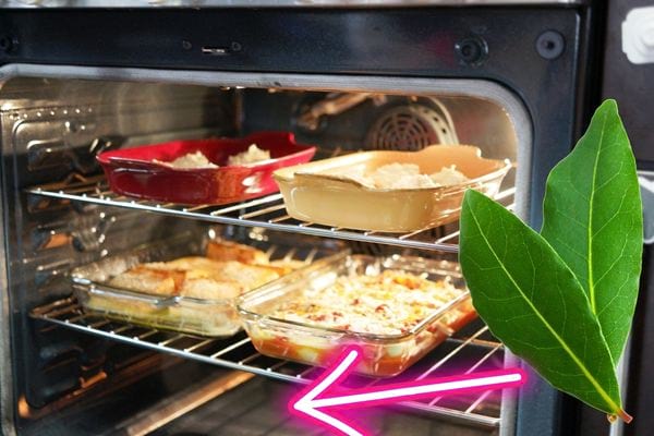 Quatre plats dans un four avec des feuilles de laurier