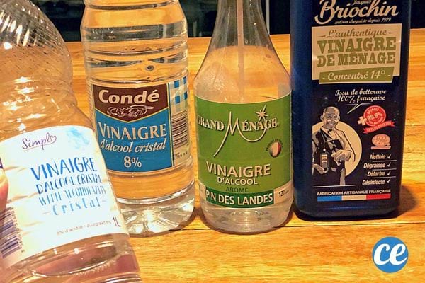 Quatre vinaigre blanc différents 