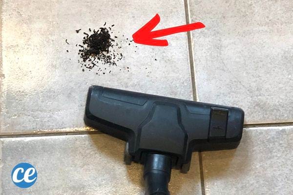 Du pot-pourri au sol avec un aspirateur noir à proximité 