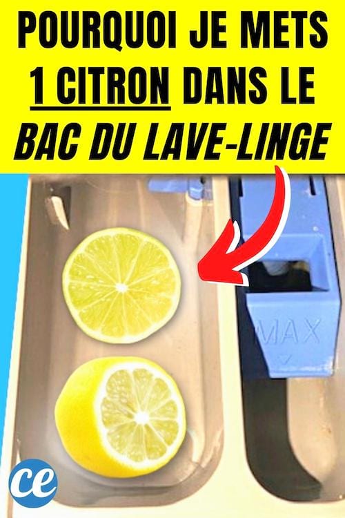 Un citron dans le bac à lessive pour le détartrer facilement et au naturel