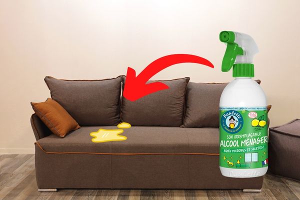 Comment Enlever l’Odeur de Pipi de Chat Sur un Canapé ? L'Astuce