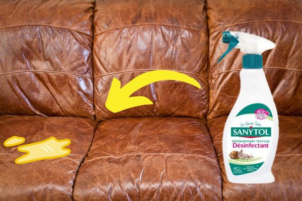 Comment Enlever l’Odeur de Pipi de Chat Sur un Canapé ? L'Astuce