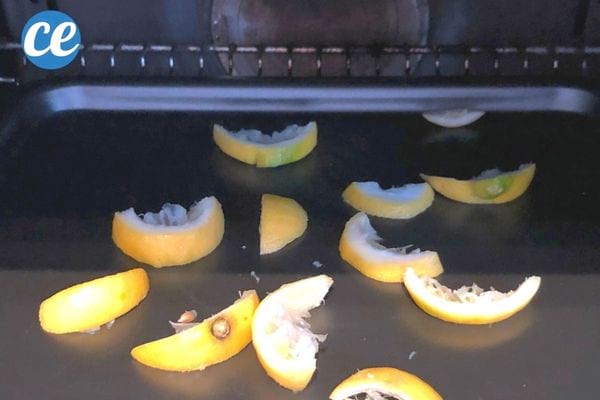 Plusieurs tranches de citron découpées et éparpillées un peu partout dans le four