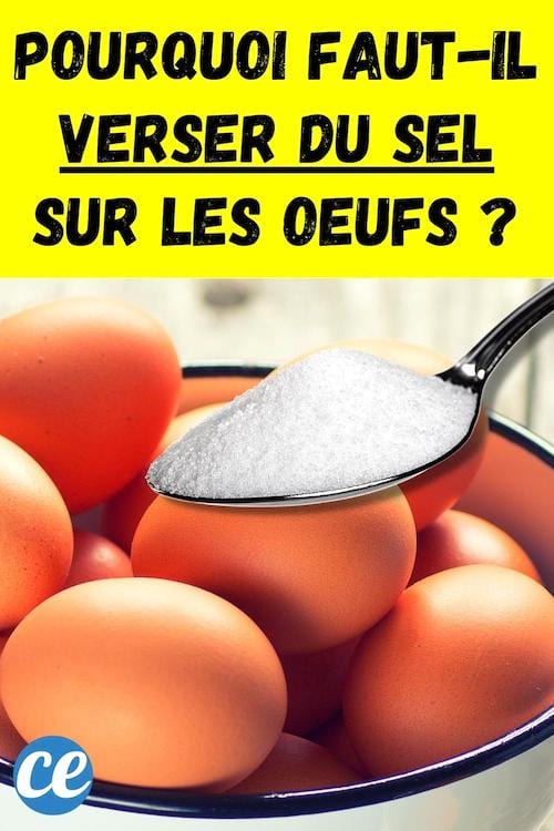 Du sel qui est versé sur des oeufs frais