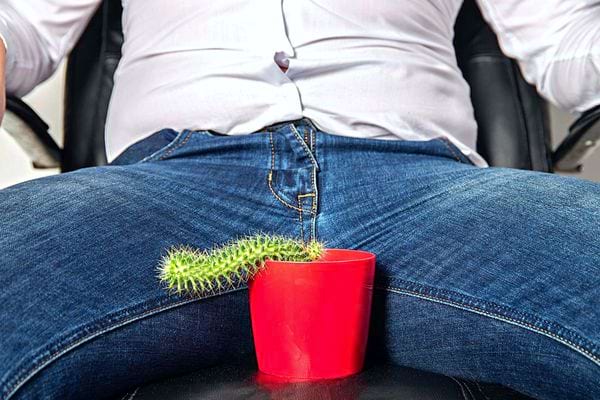 Un cactus sans énergie sur une chaise devant un homme 