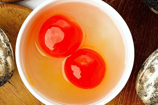 Deux jaunes d'oeufs dans un bol blanc avec une couleur rouge