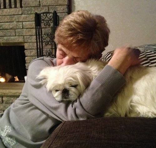 Une femme âgée qui fait un câlin à son petit chien blanc sur son canapé 