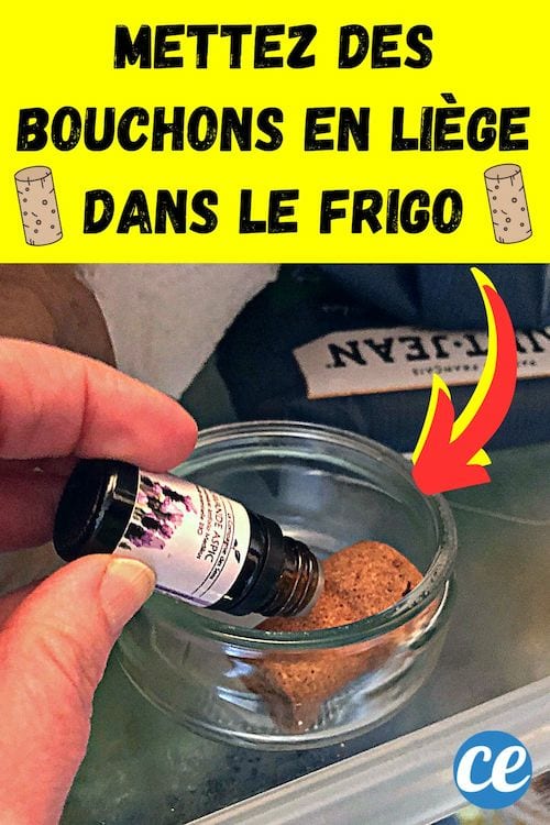 Mettez des bouchons en liège dans le frigo