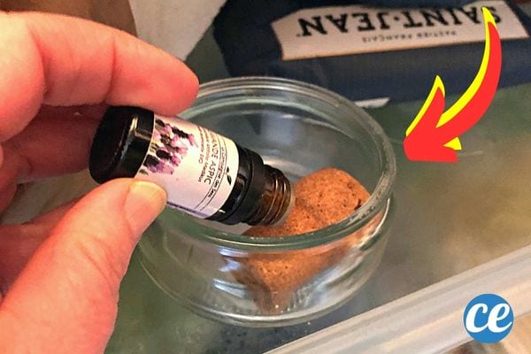 Une personne mettant de l'huile essentielle sur un bouchon en liège dans une coupelle en verre