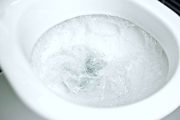 Des toilettes avec la chasse tirée 