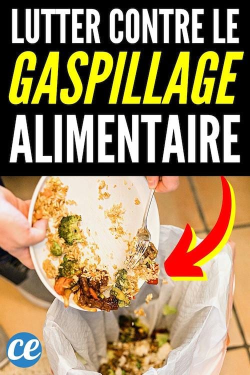 Une personne qui jète de la nourriture dans la poubelle et qui fait du gaspillage alimentaire