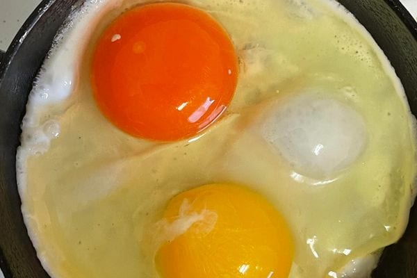 Deux oeufs dans une poêle l'un est plus foncé que l'autre