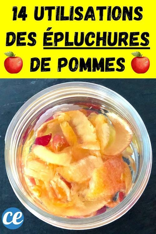 Des épluchures de pommes qui sont dans un bocal en verre pour faire du vinaigre de cidre