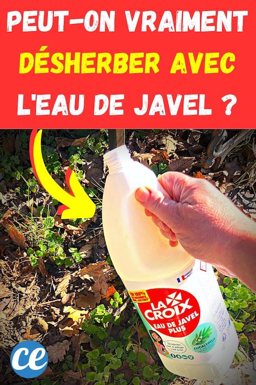 PeutOn Désherber Avec de l'Eau de Javel Sans Risque ? L'Avis de Mon