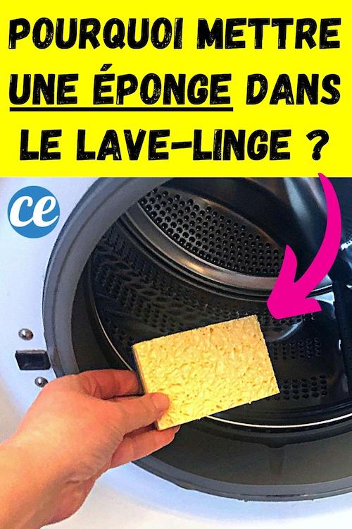 Comment Enlever les Poils de Chat Sur les Vêtements Dans la Machine à Laver