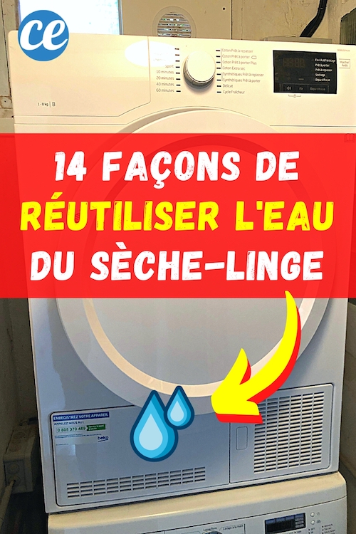 14 Façons de Réutiliser l'Eau du Sèche-Linge à la Maison.