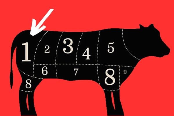 Une vache représentée en dessin par zone 